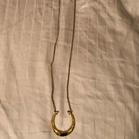 Stella and Dot double horn pendant necklace - Picture 7 of 7